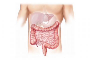 La flora intestinal funciona como ‘alerta’ de enfermedades reumáticas