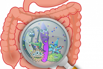 Las bacterias intestinales predicen la reacción al estrés social