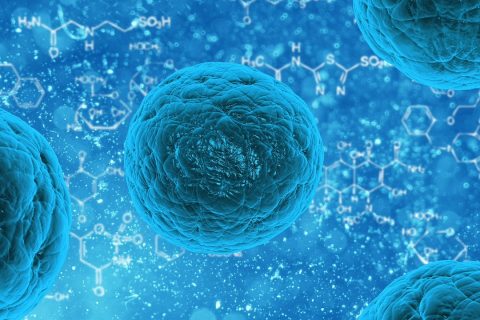 El trasplante de células madre cambia el escenario del tratamiento de la esclerosis múltiple