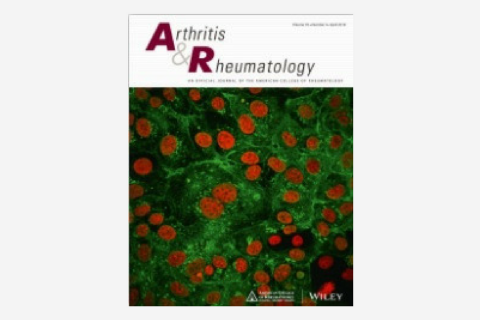Chikungunya Arthritis: Implications of Acute and Chronic Inflammation Mechanisms on Disease Management