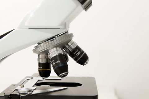La SEHH pide a Montón una Red de Investigación de patologías hematológicas