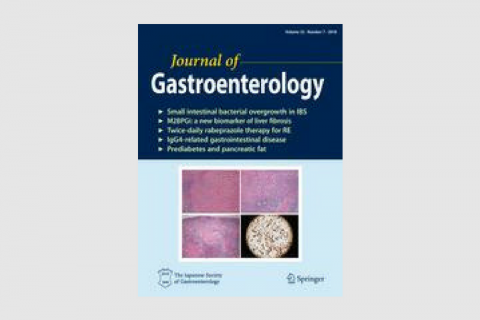 Clinical impact of intratumoral HER2 heterogeneity on trastuzumab efficacy in patients with HER2-positive gastric cancer