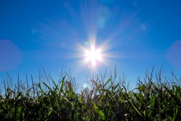 El sol puede ser muy perjudicial en los pacientes con enfermedades reumáticas
