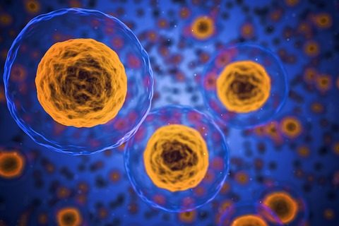 La evolución genética de células de la leucemia condiciona el pronóstico