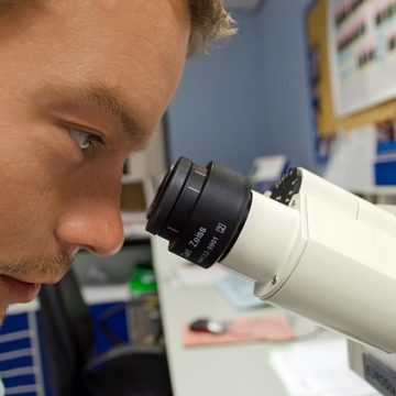 Organoides de esófago humano servirán como modelo de investigación