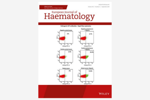 Differences in treatment and monitoring of chronic myeloid leukemia with regard to age, but not sex: Results from a population‐based study
