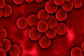 Células mutantes se unen para producir un cáncer de sangre más mortal