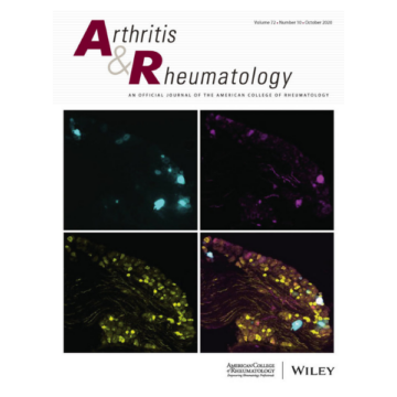 Different Hierarchies of Anti–Modified Protein Autoantibody Reactivities in Rheumatoid Arthritis
