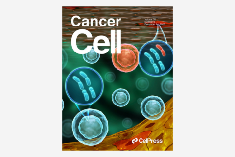 Stromal Cells Exhibit Prevalent Genetic Aberrations in Colorectal Cancer