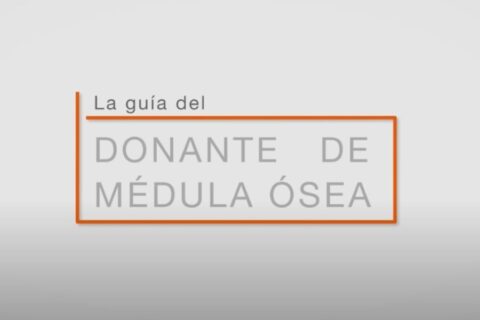 Guía del donante de médula ósea. Fundación Josep Carreras