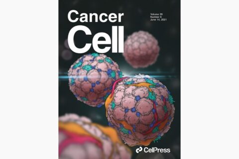 Conserved pan-cancer microenvironment subtypes predict response to immunotherapy